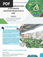 Proyecto de Diseño de Planta de Una Empresa Agroexportadora de Palta Hass