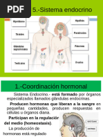 Coordinacion Hormonal