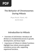 Topic 4 Mitosis