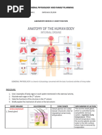 Montefalcon - LAB+SHT+ACT-1