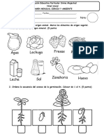 Examen Mensual - Ca