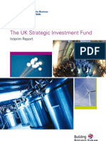 The UK Strategic Investment Fund: Interim Report