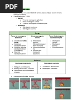 Odontogenic tumors齒源性腫瘤