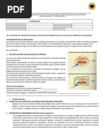 La Función de Respiración