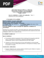 Guia de Actividades y Rúbrica de Evaluación - Reto 3 - Experiencia de Acción Pedagógica