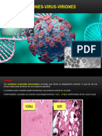 VIRUS y Celula Procariota