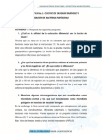 Actividad 2 de Prácticas de Microbiología y Parasitología Médica