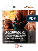 Plan Director 2024 2