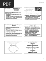 IACP Cork Advanced CBT Slides