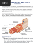 Intestinal Anastamosis - Worksheet