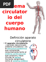 Sistema Circulatorio 1220824138890425 9