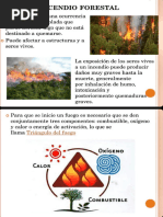 Resumen de Incendios