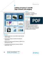 Morphological Profiling of Human T and NK Lymphocy