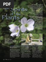 Plant Spirit Medicine