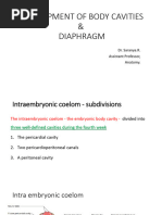 Dev of Body Cavities & Diaphragm 26.10.18