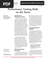 Perfromance Testing Bulls Onf The Farm - TEST