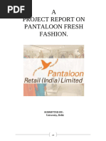 Project Report On Pantaloon