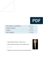 Mandibular Premolar