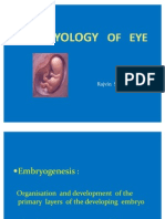 Embryology of Eye