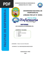 Los Cuidados de Enfermeria