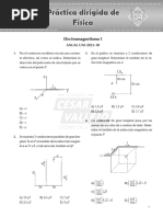 Práctica Dirigida