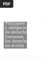 Principios Obligaciones Derechos Humanos