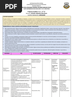 Programa Analítico 6to