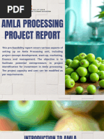 Amla Processing Project Report