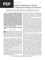 SpectralSpatial Morphological Attention Transformer For Hyperspectral Image Classification