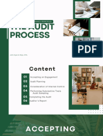 The Audit Process