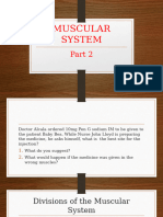 Muscular System 2 PPT Dean - Updated