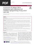 Involvement of Collagen XVII in Pluripotency Gene Expression and Metabolic Reprogramming of Lung CSC