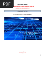 Portifolio Algoritimos e Logica de Programação