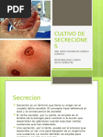 Secrecion Purulenta de Heridas