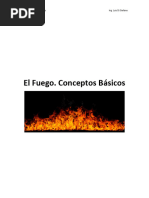 Unidad 7 - Fuego - Conceptos - Basicos