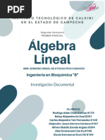 Algebra Lineal - Investigacion Documental - Carlos Alejandro Yah Fernandez - 8149