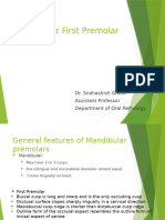 44 Permanent Mandibular 1st Premolar