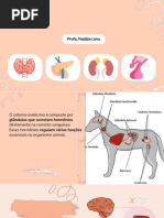 Sistema Endócrino - Fisiologia