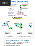 Lecture 3 - CellSignaling 2023