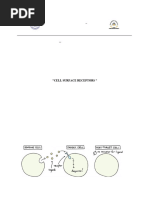 Rivas, Janice Report Cell Biology