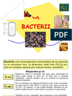 Microbiologie - Bacterii