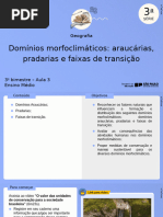 Aula 3 - Domínio Morfoclimáticos Araucárias, Pradarias e Faixas de Transição