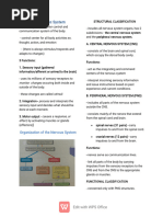 The Nervous System-WPS Office