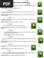 Cricket Umpire Signals