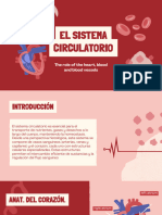 Sistema Circulatorio