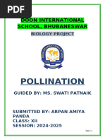 Pollination Class 12 Biology Project