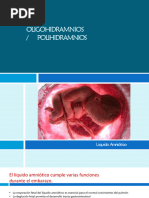 Oligohidramnios y Polihidramnios