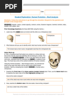 Human Evolution Gizmos Questions