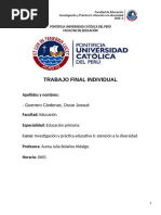 Trabajo Final de Individual