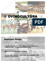 Ovinocultura